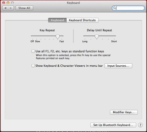The System Preferences Keyboard dialog box with two unchecked checkboxes.  The text for the first checkbox reads: “Use all F1, F2, etc. keys as standard function key. When this option is selected, press the  Fn key to use the special features printed on each key.”