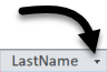 Last name field header, with dropdown arrow indicated on the right.