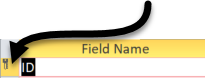 The small key icon to the left of the ID field.
