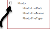 The Photo field, expanded to show three additional areas: Photo.FileData, Photo.FileName, and Photo.FileType. An arrow points to the Collapse button to the left of the Photo field label.