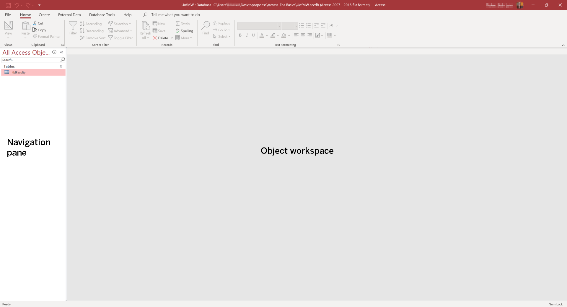 Access interface, with U of M W file open. Navigation Pane on the left is labeled, and Object Workspace on the right.