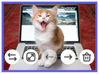 Photo grid controls overlaying a thumbnail image of a kitten standing on a laptop. Controls are described in the following paragraph.