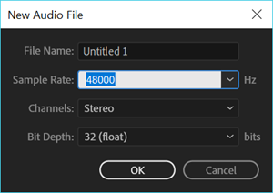 New Audio File dialog box