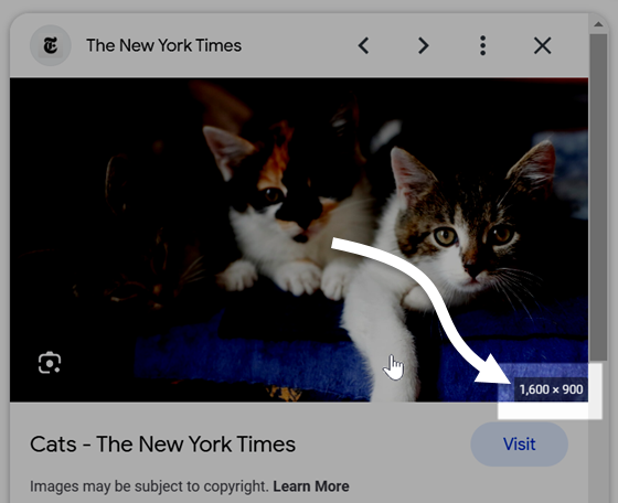 Screenshot of Google Image Search results, displaying an image preview of a photo of three kittens with the image's size at the bottom of the thumbnail.