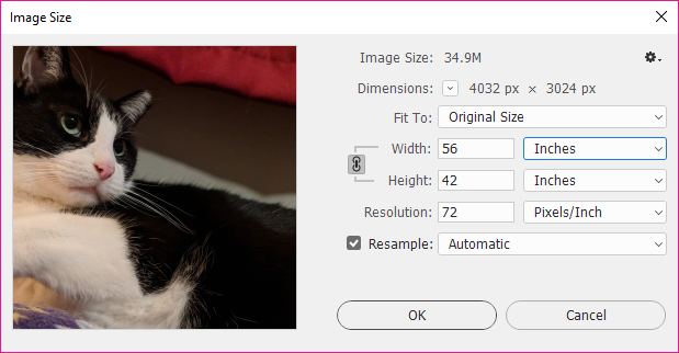 Image Size dialog box. Contents described in following paragraph.