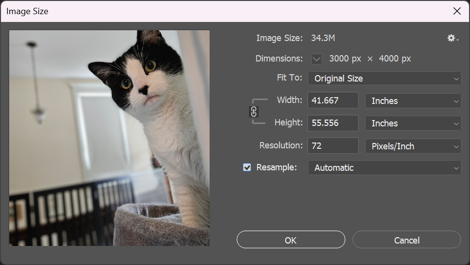 Image Size dialog box. Contents described in following paragraph.