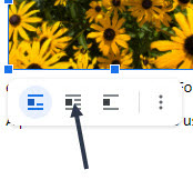 Image of the Black-eyed Susans photo in the Google Doc. An arrow is pointing at the Wrap Text button.