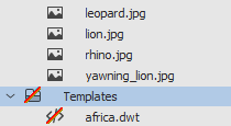 The templates folder and the africa,dwt folders now have a red line over the icons.