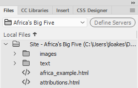 Files panel showing defined local site. Folders included are image and text. Files are africa_example.html and attributions.html.