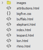 The images directory, and files that make up the final site. Folder and files publised to server for the site include the images folder and the following files attributions.html. bigfive.css, buffalo.html, elephant.html, index.html, lion.html, leopard.html and rhino.html.