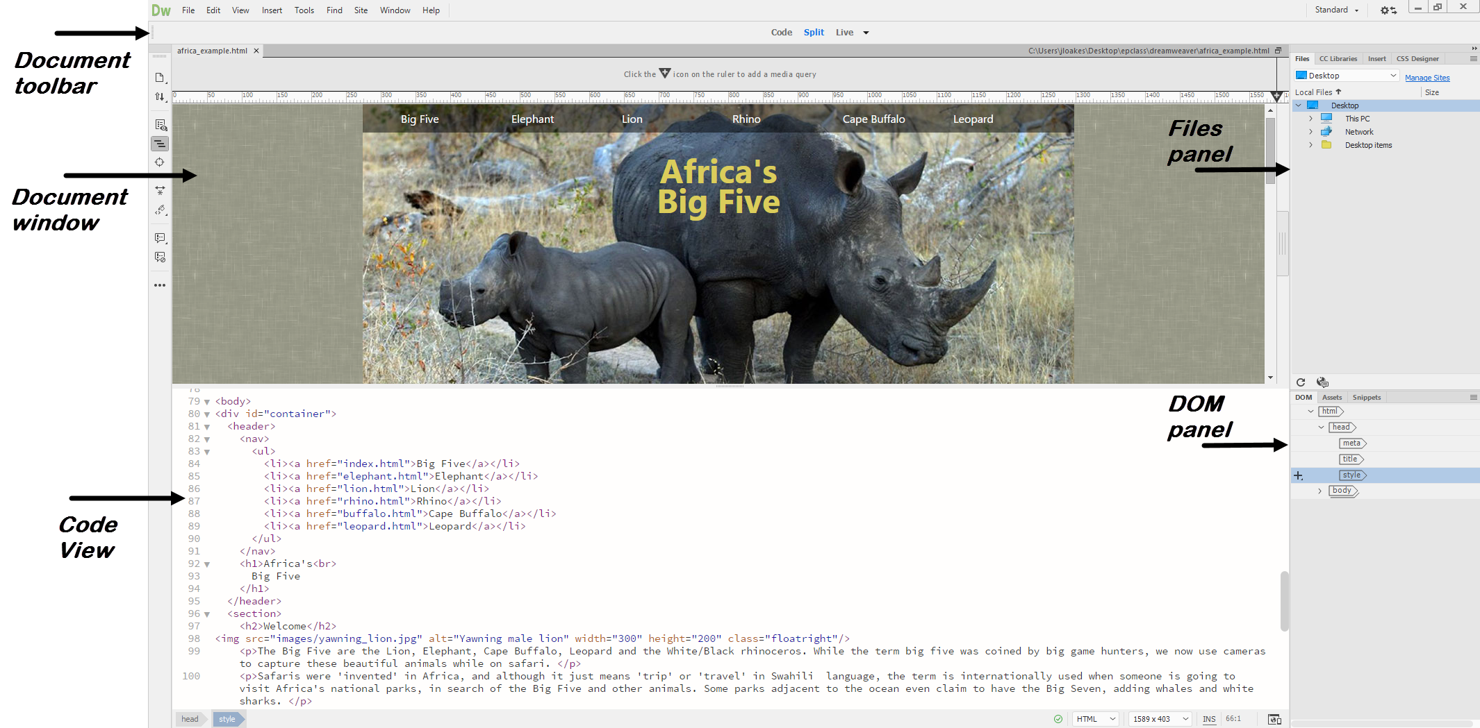 Screen shot of Dreamweaver interface using Standard workspace with africa_example.html open. The Document toolbar is at the top of the screen.The Document window is below the toolbar. Code view is below the Document window. To the right are the Files and DOM panels.
