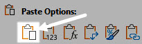 The paste options. The Paste (P) button is highlighted.