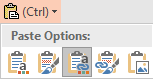 image of Paste Options menu