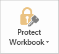 Protect Workbook button