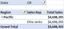 the filtered pivot table showing a single sales representative, Ellie Janks, in Oregon and the pacific region