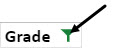 The grade column header with a funnel indicating the data has been filtered. An arrow is pointing at the funnel