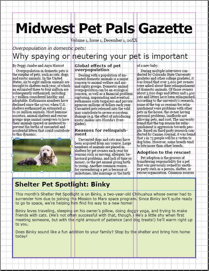 Page one of the newsletter with the resized image of the cat and dog.