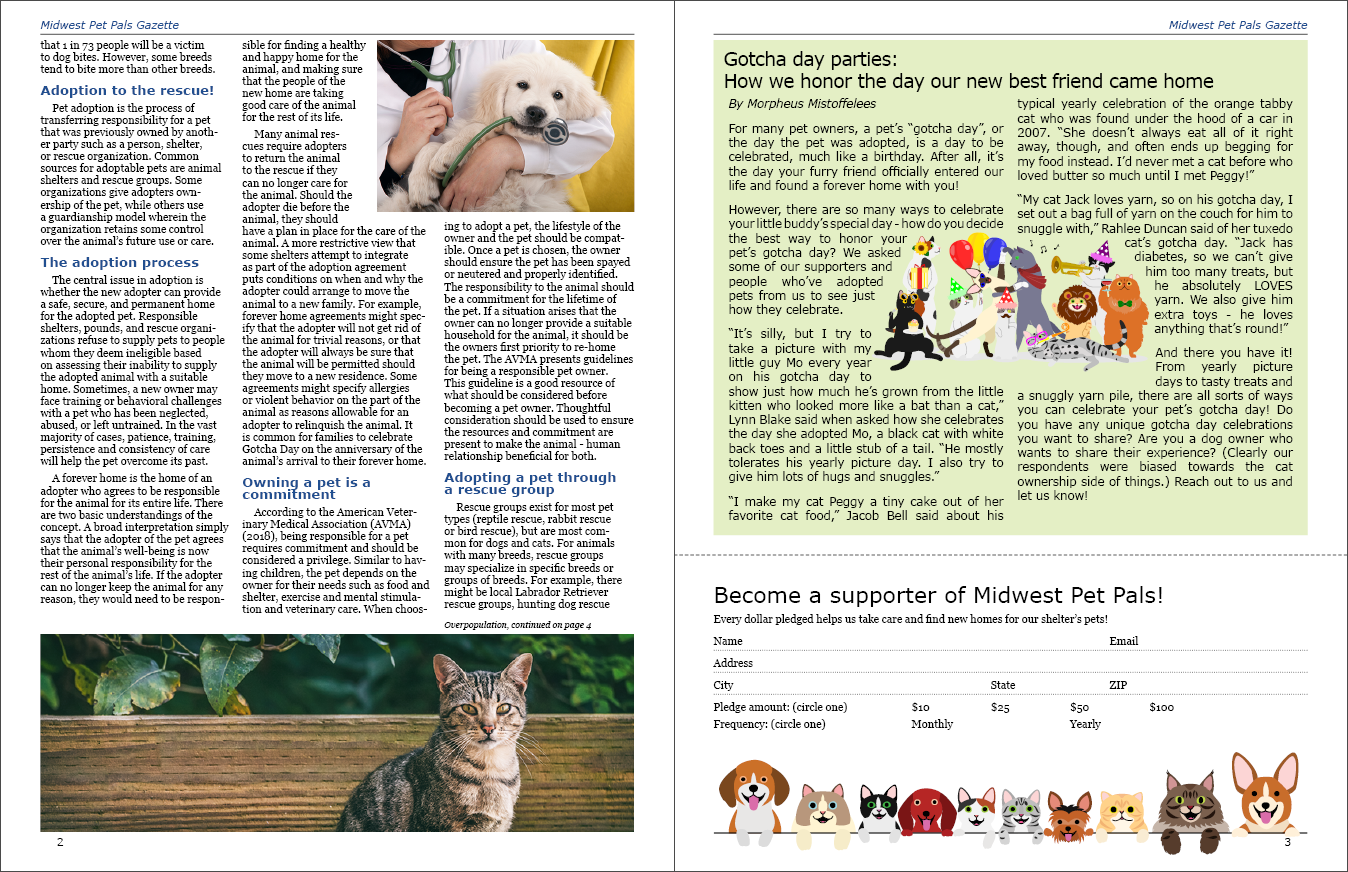 Pages 2 and 3 of the completed newsletter.