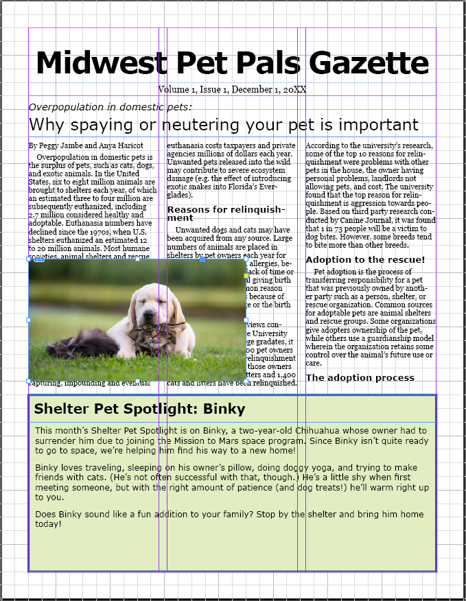 Page one of the newsletter, with the file cat and dog.tif placed in the left column of text over the sidebar. The image overlaps the middle column of text.