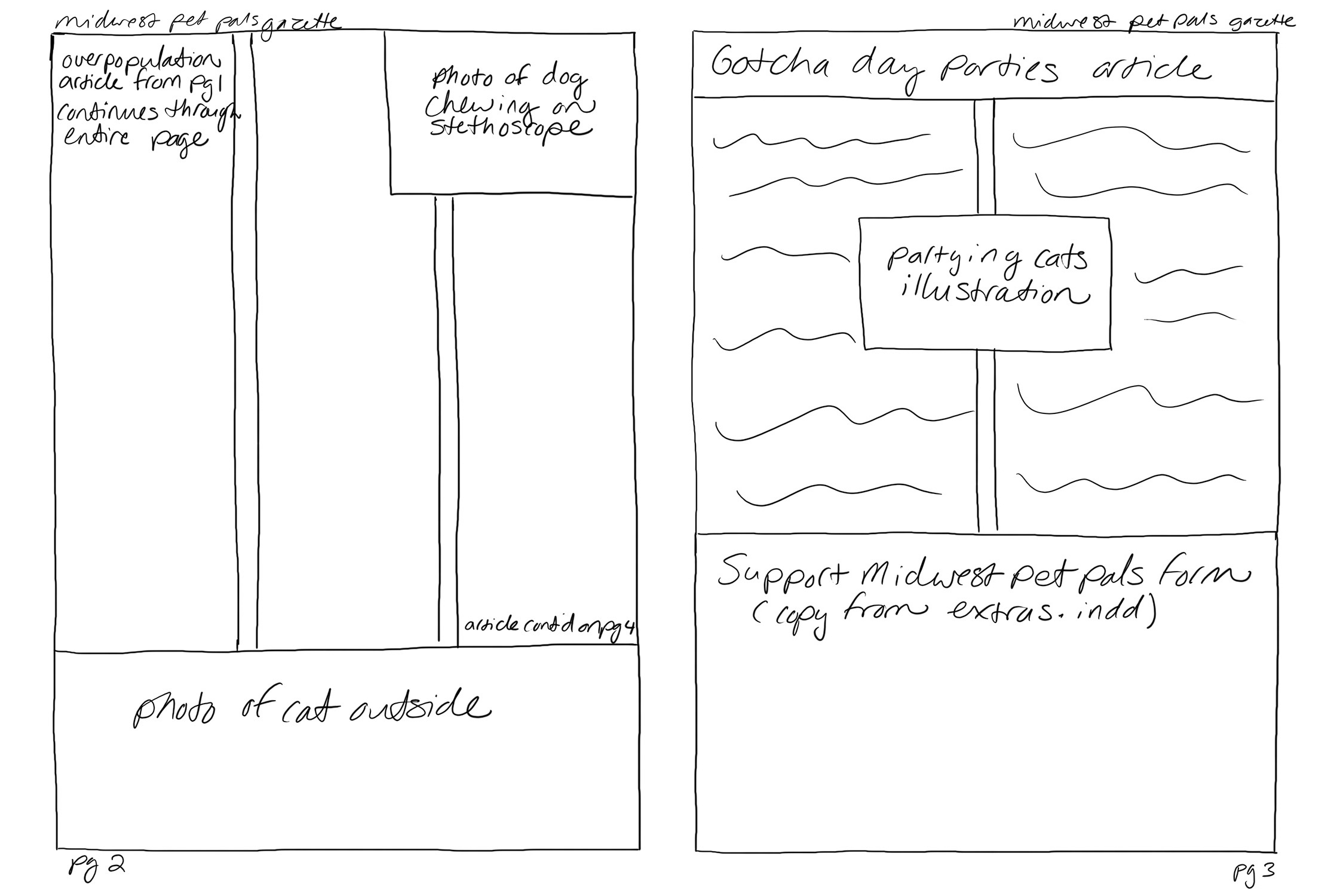 Rough sketch of pages 2 and 3 next to each other. Page 2 consists of a continuation of the main article from the front page, with rectangles marking out where images will go. Page 3 is split into two parts - the top two-thirds of the page is dedicated to the Gotcha day parties article, with a placeholder for an illustration of partying cats. The bottom third of the page contains a donation form.