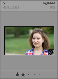Expanded thumbnail for the fifth image in the catalog. It displays the filename, fig11-4-1.jpg, the pixel dimensions of the image (which are 4513 by 2538 pixels), the file type (JPG), and the rating, which is two stars.
