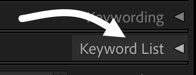 Keyword List panel header