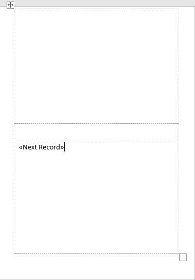 A page in the document showing two labels. The first label is blank. The second label has a "next record" placeholder.