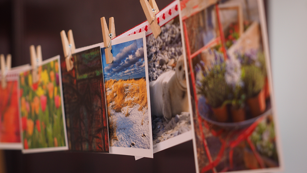 Image of a number of photographs clipped to a clothesline.