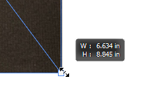 Tooltip that appears next to the cursor when using the Scale transformation on a selection. The tooltip shows the current size of the selection.