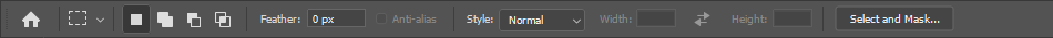 Options bar displaying options for the rectangular marquee tool, including options for changing the preset, adding or subtracting from the selection, and the ability to enter Select and Mask mode. 