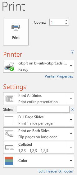 the Print options screen