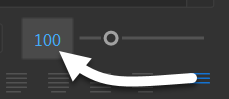 Font size field, currently displaying 100.
