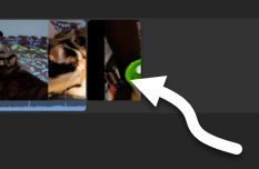Screenshot of the end of the timeline, with an arrow pointing to the second copy of the cat_fountain.jpg clip.