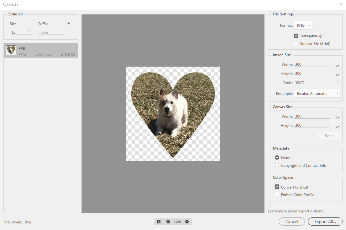 Export As dialog box, with the bone-shaped photo featured in the dialog box