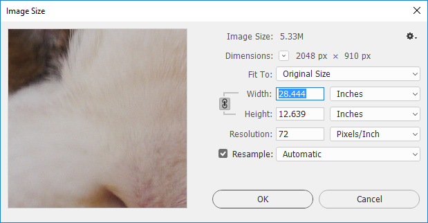 Image Size dialog box