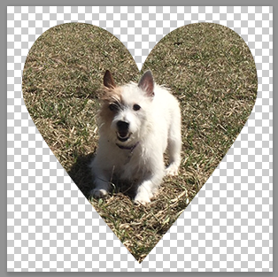 Photograph in the shape of a heart with a dog in the middle of the heart