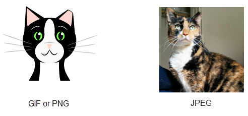 diagram with a picture of a rabbit drawing, with few colors, which is suited to the GIF or PNG file formats, and a photograph of a calico cat, which is suited to the JPEG format