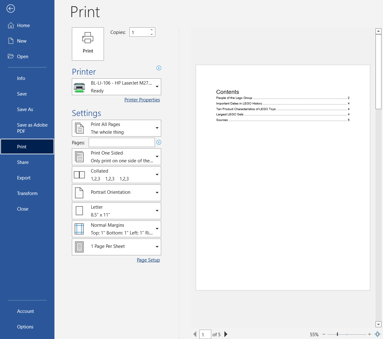 Print options in Microsoft Word for Windows. Options are described below.